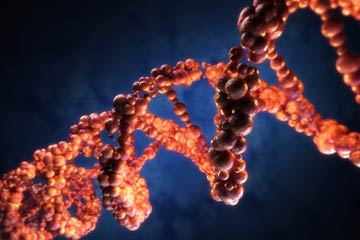Image result for mutant dna
